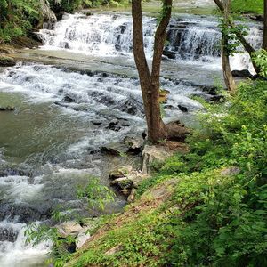 Meet your Posher, Geneva